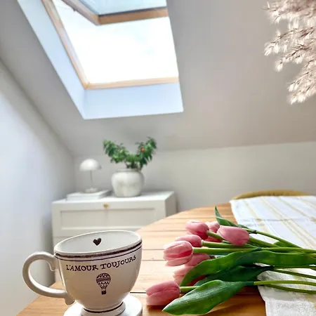 Luxury Titova Street Appartement