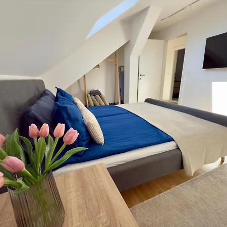 Luxury Titova Street